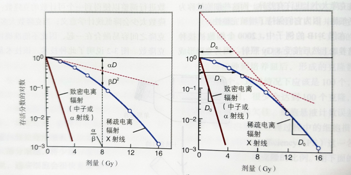 17010529564414.png