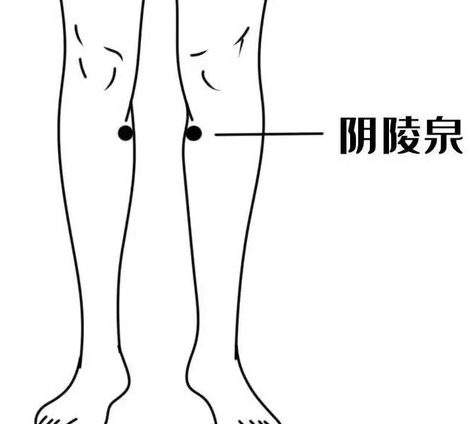 17452052964554.png